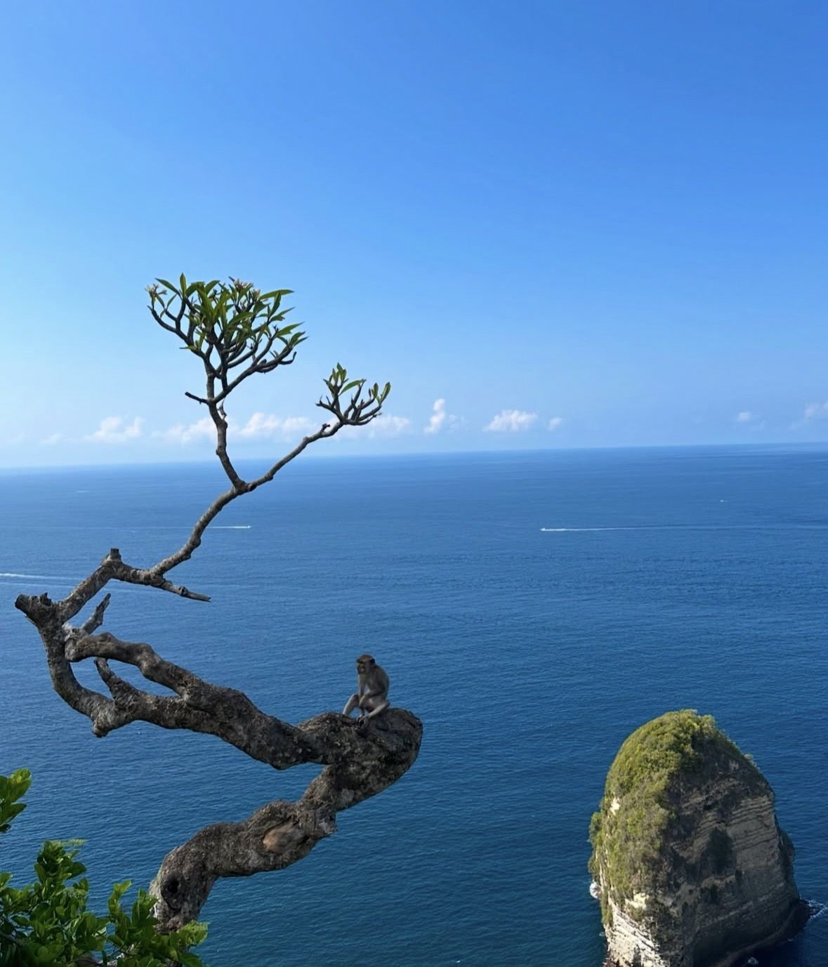 One Day Trip Nusa Penida Bali with All Inclusive
